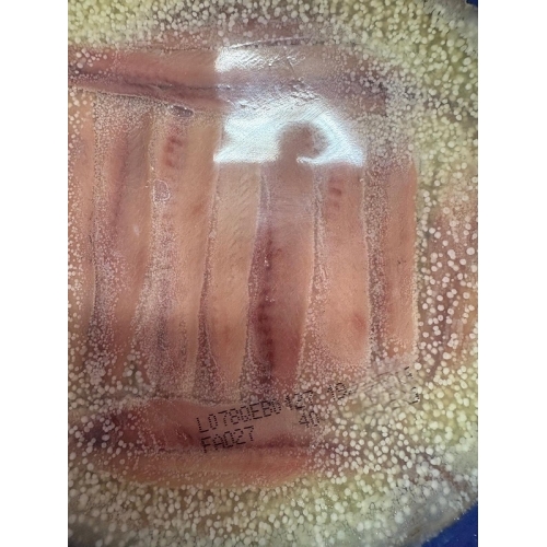 FILETES DE ANCHOA   GRAN TAMAÑO